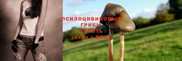 МДМА Бородино