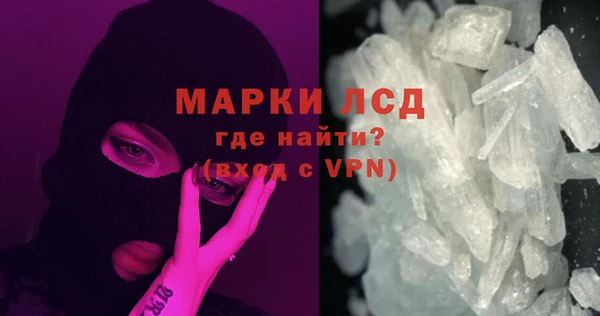 PSILOCYBIN Бронницы